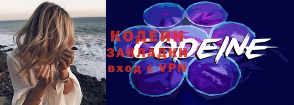 хмурый Ладушкин