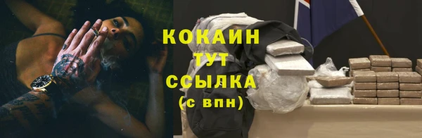 хмурый Ладушкин