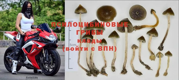 хмурый Ладушкин