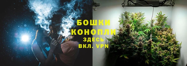 хмурый Ладушкин